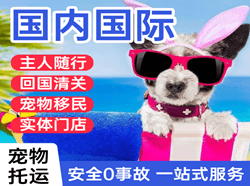 荆州沙市机场邮寄国际宠物托运 【国